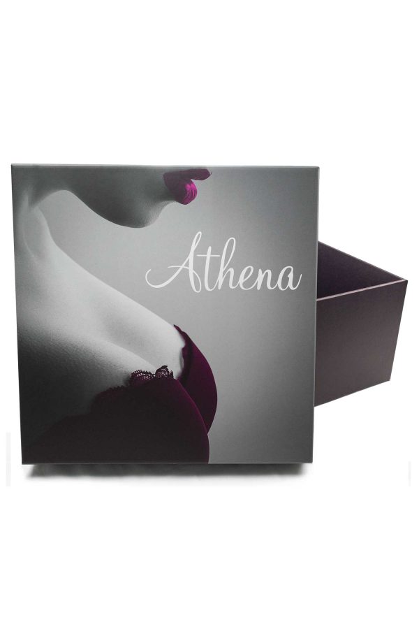 Divine Collection Athena breastplate